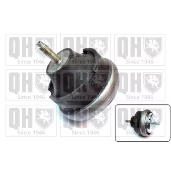 Support moteur QUINTON HAZELL OEM 182732