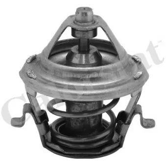 Thermostat d'eau CALORSTAT BY VERNET OEM 6535178