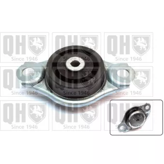 Support moteur QUINTON HAZELL OEM 46800412