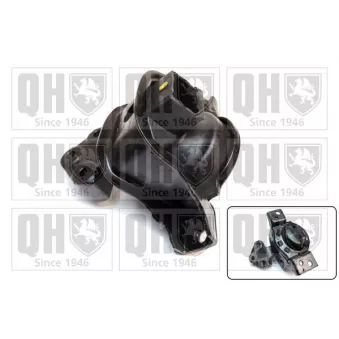 Support moteur QUINTON HAZELL OEM 9800074680