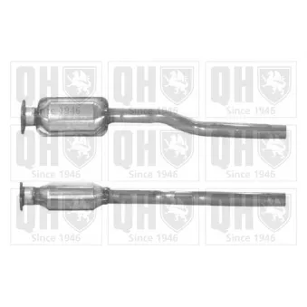 Catalyseur QUINTON HAZELL [QCAT80009H]