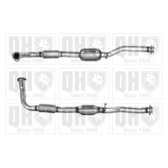 Catalyseur QUINTON HAZELL [QCAT80029H]