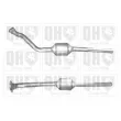 Catalyseur QUINTON HAZELL [QCAT80039H]
