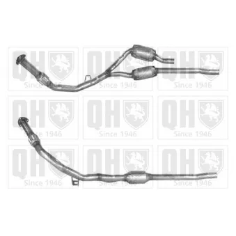 Catalyseur QUINTON HAZELL [QCAT80064H]