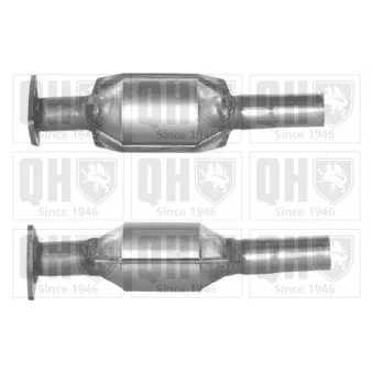 Catalyseur QUINTON HAZELL [QCAT80145H]