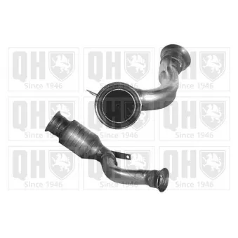 Catalyseur QUINTON HAZELL [QCAT80166H]