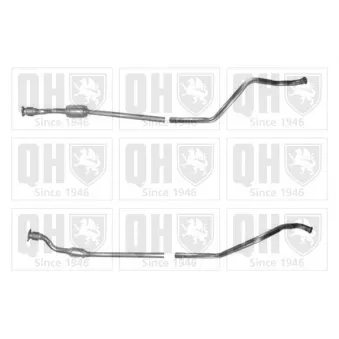 Catalyseur QUINTON HAZELL [QCAT80169H]