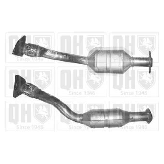 Catalyseur QUINTON HAZELL [QCAT80228H]