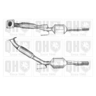 Catalyseur QUINTON HAZELL [QCAT80239H]