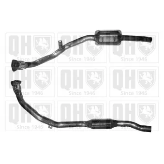 Catalyseur QUINTON HAZELL [QCAT80252H]