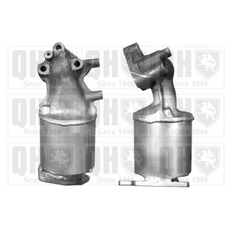 Catalyseur QUINTON HAZELL [QCAT80306H]