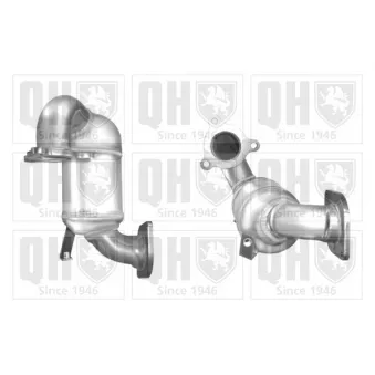 Catalyseur QUINTON HAZELL [QCAT80309H]