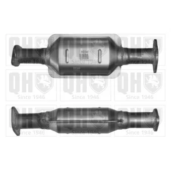 Catalyseur QUINTON HAZELL [QCAT80340H]