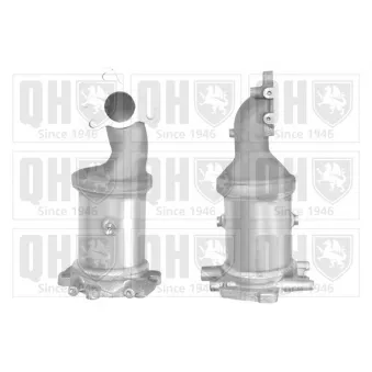 Catalyseur QUINTON HAZELL [QCAT80378H]