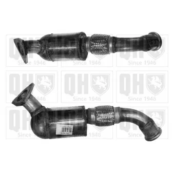 Catalyseur QUINTON HAZELL [QCAT80401H]