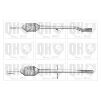Catalyseur QUINTON HAZELL [QCAT80460H]