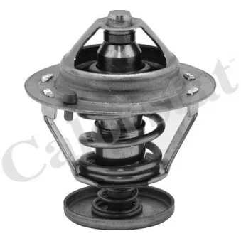 Thermostat d'eau CALORSTAT BY VERNET OEM 1N0515171
