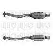 Catalyseur QUINTON HAZELL [QCAT90021H]