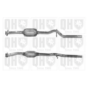 Catalyseur QUINTON HAZELL [QCAT90079H]