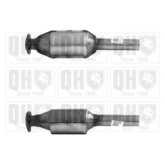 Catalyseur QUINTON HAZELL [QCAT90114H]