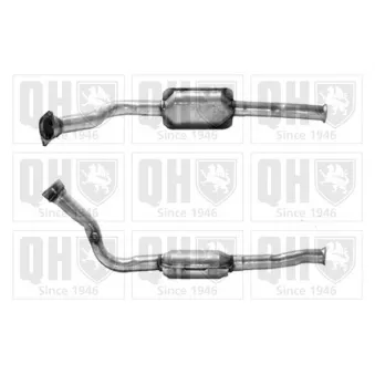 Catalyseur QUINTON HAZELL [QCAT90142H]