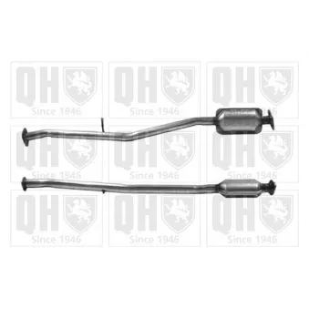 Catalyseur QUINTON HAZELL [QCAT90282H]
