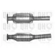Catalyseur QUINTON HAZELL [QCAT91029H]