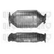 Catalyseur QUINTON HAZELL [QCAT91203H]