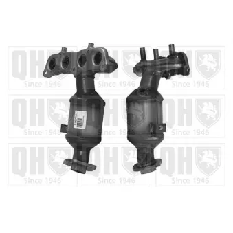 Catalyseur QUINTON HAZELL OEM 250510J020