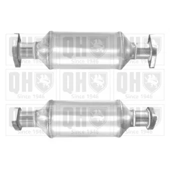 Catalyseur QUINTON HAZELL [QCAT91928H]