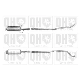 QUINTON HAZELL QDPF11020 - Filtre à particules / à suie, échappement