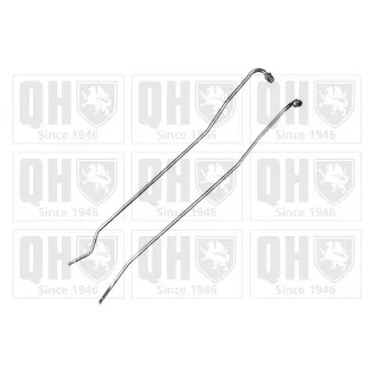 Conduite à press, capteur de press (filtre particule/suie) QUINTON HAZELL [QPPI11087B]