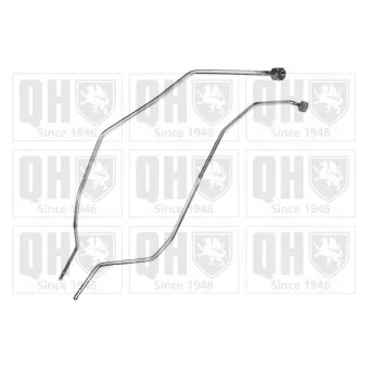 Conduite à press, capteur de press (filtre particule/suie) QUINTON HAZELL [QPPI11094A]