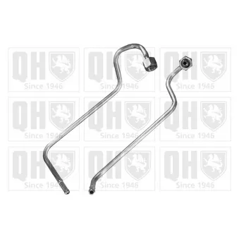 Conduite à press, capteur de press (filtre particule/suie) QUINTON HAZELL [QPPI11331A]