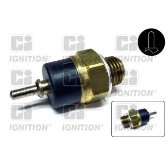 QUINTON HAZELL XTS31 - Contact thermique, voyant avertisseur de l'agent réfrigérant