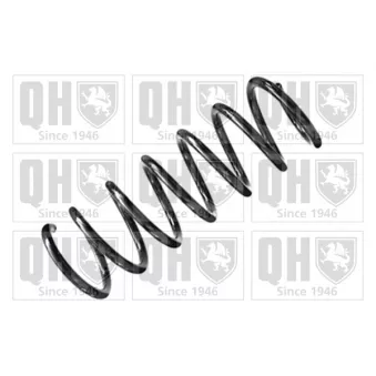 QUINTON HAZELL QCS8268 - Ressort de suspension