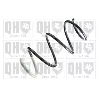 Ressort de suspension QUINTON HAZELL OEM 540100658R