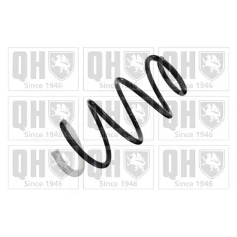 Ressort de suspension QUINTON HAZELL OEM 546302Y751