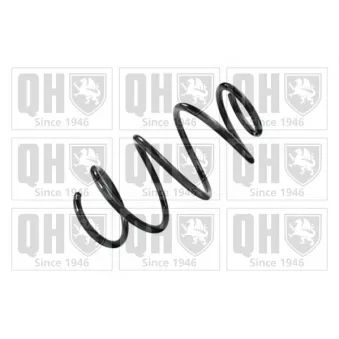 Ressort de suspension QUINTON HAZELL OEM 546302Y914