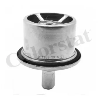 Thermostat d'eau CALORSTAT BY VERNET OEM 1606359