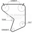 Courroie de distribution FLENNOR [4055]