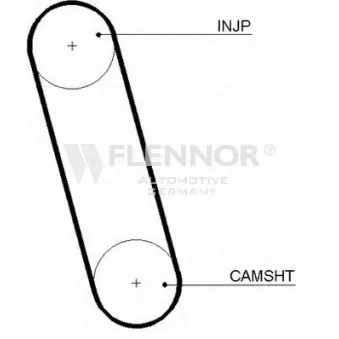 FLENNOR 4099 - Courroie de distribution