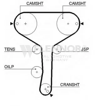 FLENNOR 4148V - Courroie de distribution