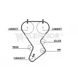 Courroie de distribution FLENNOR [4240V]