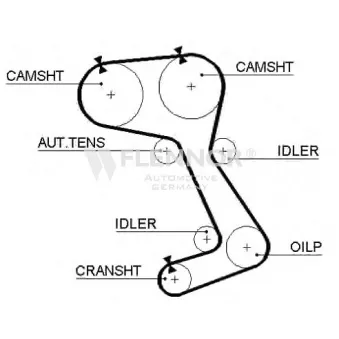 FLENNOR 4253V - Courroie de distribution