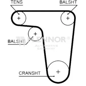 FLENNOR 4507V - Courroie de distribution