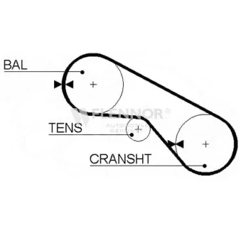 FLENNOR 4914 - Courroie de distribution