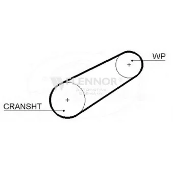 Courroie de distribution FLENNOR [4931]