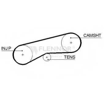 FLENNOR 4982 - Courroie de distribution