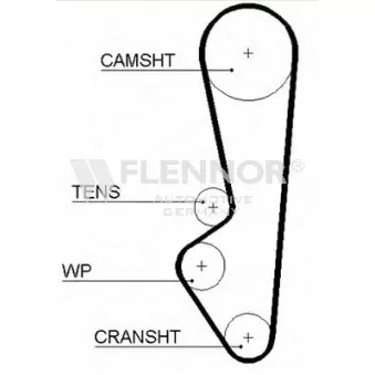 Courroie de distribution FLENNOR [4983V]